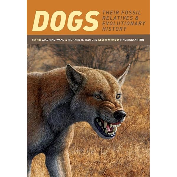 Sabertooth (Life of the Past) by Antón, Mauricio (2013) Hardcover